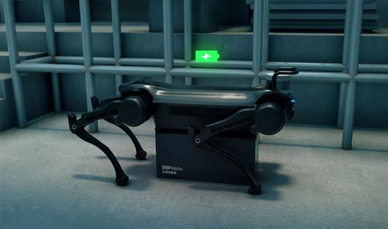 国内首个完成自主充电的四足机器人